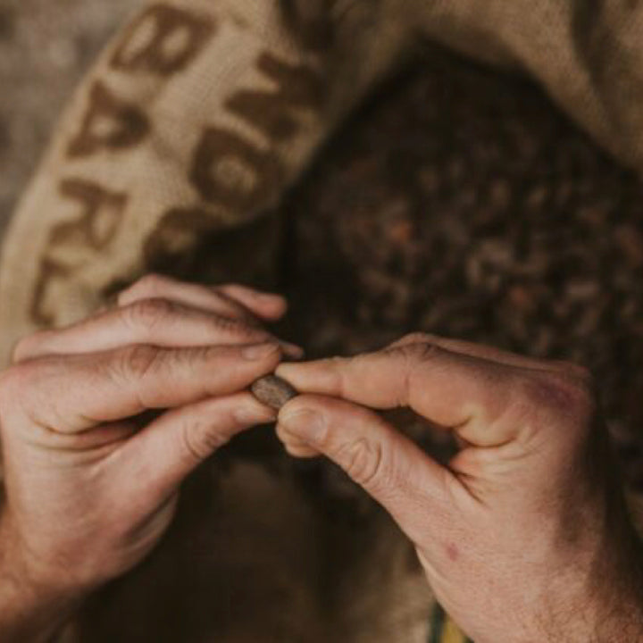 Wood Fire Mushroom Ceremonial Cacao