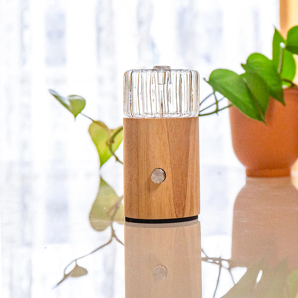 Amrita Court Nebuliser Diffuser NOVA EZY Plug In with plant