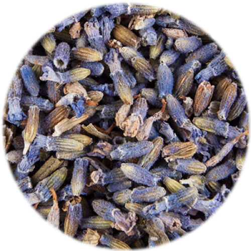 Healing Concepts Organic Lavender