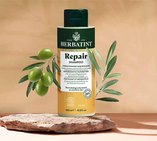 Herbatint Repair Shampoo bottle with olive branch on a stone surface