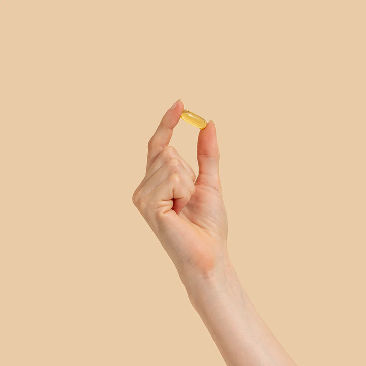 Herbs Of Gold Evening Primrose Oil Daily capsule size