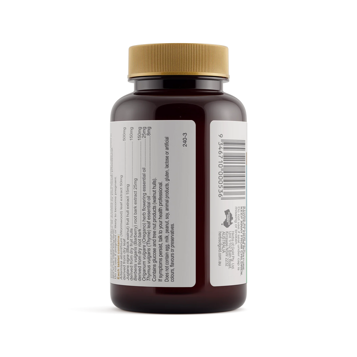 Herbs of Gold Wormwood Clear Information 2