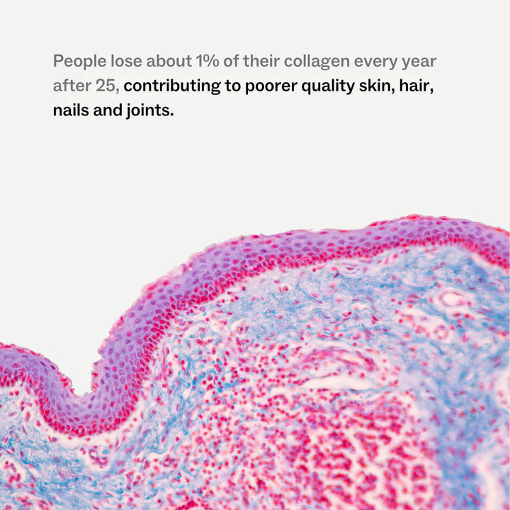 Microscopic view of tissue with text about collagen loss and its effects on skin, hair, and nails.