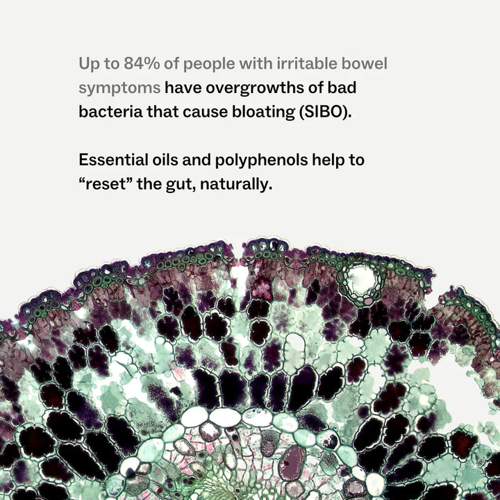 Microscopic view of intestinal tissue with text about SIBO and essential oils.