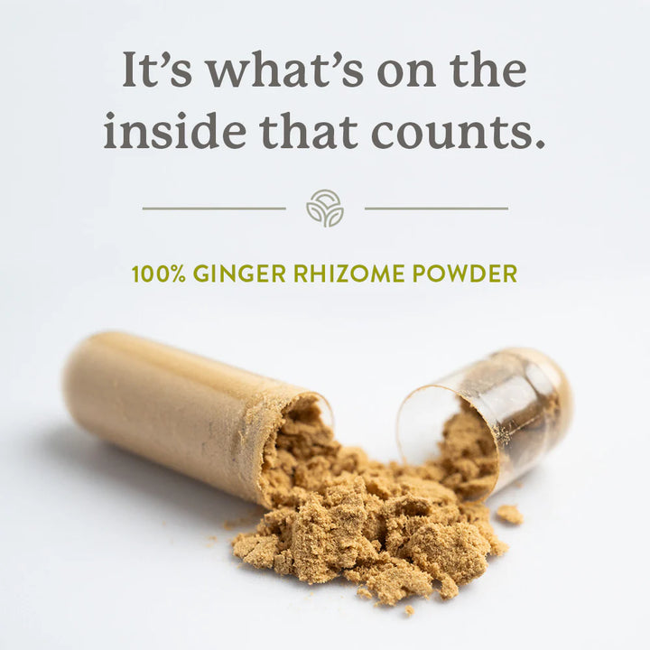 Nature's Sunshine Ginger Inside