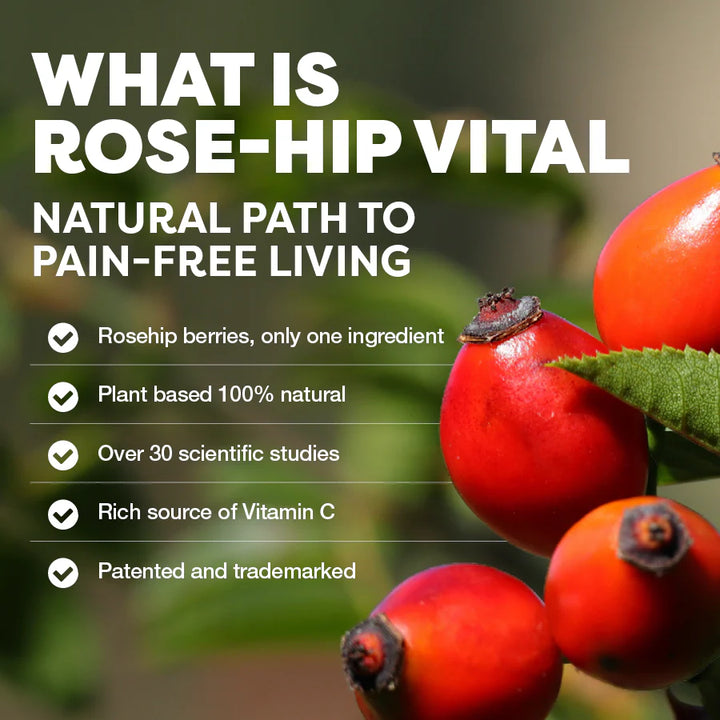 Rosehip berries with text about Rose Hip Vital and its benefits