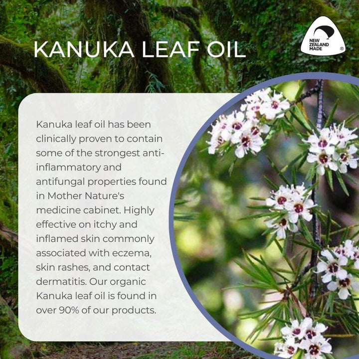 Sven's Island Miracle Manuka - Kanuka Leaf Oil description and flower