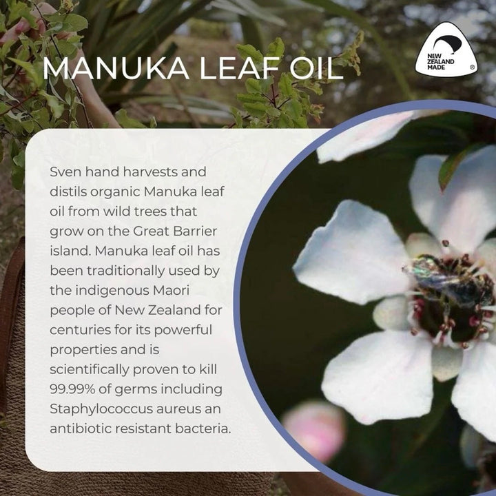 Sven's Island Miracle Manuka - Manuka Leaf Oil description and flower