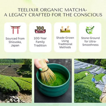 Teelixir Organic Matcha 100g