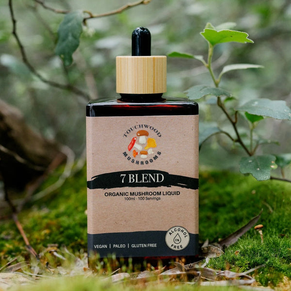 Organic mushroom liquid bottle with a wooden dropper on a natural background