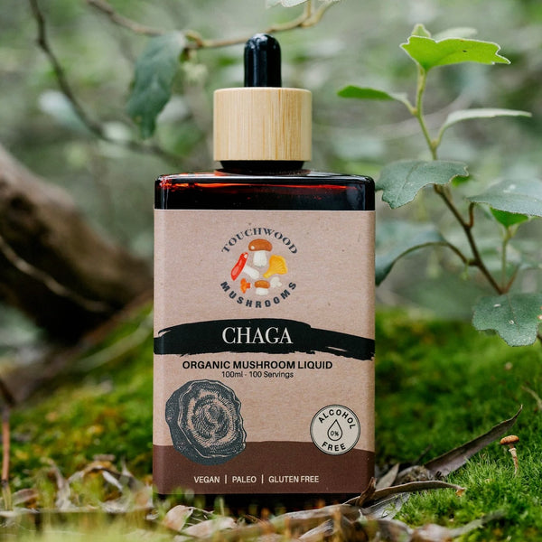 Bottle of Touchwood Mushrooms Chaga Organic Mushroom Liquid with a natural background