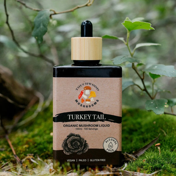 Touchwood Turkey Tail Mushroom Liquid